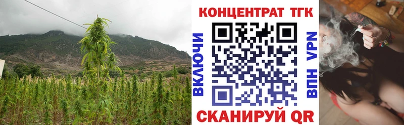 купить наркотики цена  Краснокаменск  Дистиллят ТГК гашишное масло 