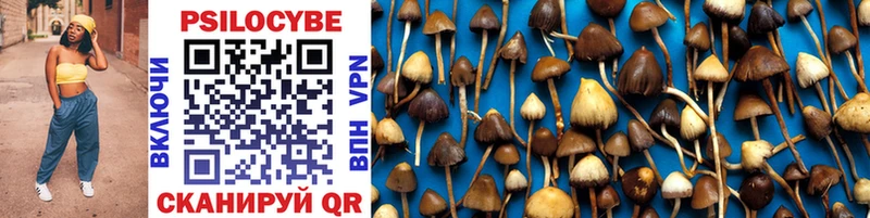 Псилоцибиновые грибы Psilocybine cubensis  Краснокаменск 